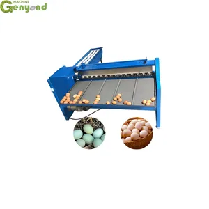 Automatic Egg Grading Machine Poultry Egg Sorting Machine by Weight thumbnail-4