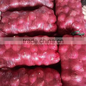 2016 New Crops Red Onion thumbnail-3