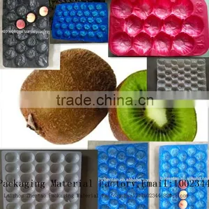 High Quality OEM Foam Food Packaging Tray, Strip EPS Foam Tray for Packaging, EPS Plastic Foam Meat Tray thumbnail-2