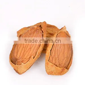2016hot Sale Sweet Almond thumbnail-3