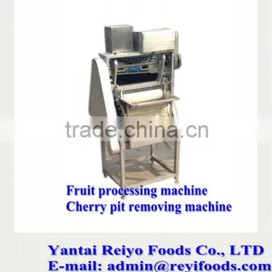 Cherry Seed Removing Machine / Cherry Pitting Machine thumbnail-2