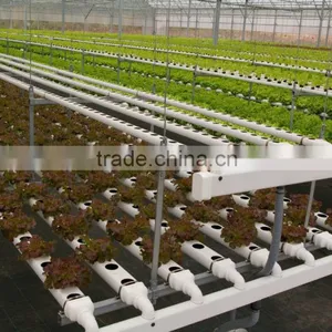 Europe Indoor Hydroponic Growing Kit for Backyard Greenhouses and Home Hydroponics thumbnail-3