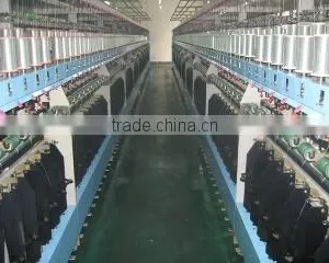 Zhejiang Qingchun Thread Industry Co., Ltd. company overview - view 2 thumbnail