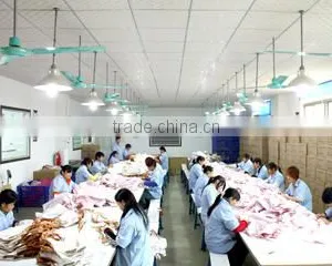 Shenzhen Xing Zhi Da Plastic Products Co., Ltd. company overview - view 4 thumbnail