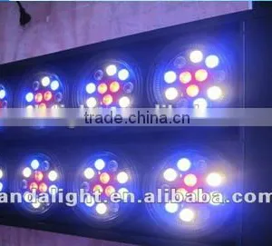 2016 High Quality Led the Lamp 8 Eye 10w RGBW 4in1 LED Beam RGBW Light thumbnail-4
