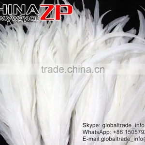 Top Supplier ZPDECOR Bulk Sale 35-40cm Length Natural Bleached White Fully Dyed Rooster Chicken Feathers thumbnail-3