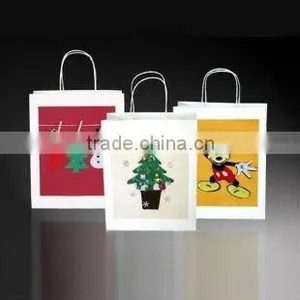 2013 Hot Sale Shopping Paper Bag thumbnail-1