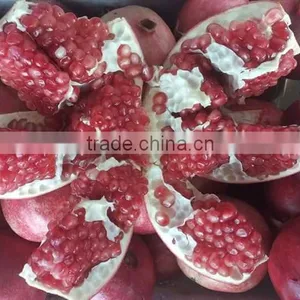 New Arrival of Fresh Pomegranate Fruit Supplier in India / Malaysia / Singapore / Dubai / Maldives / Sri Lanka thumbnail-4