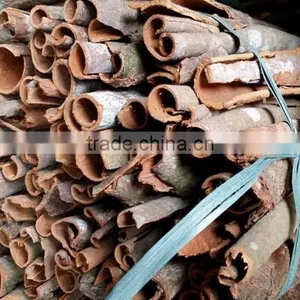 VIETNAM CASSIA / CINNAMON thumbnail-6