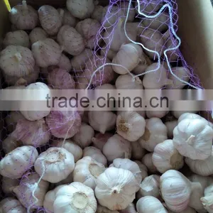 Natural Chinese Fresh White Garlic Wholesales thumbnail-2