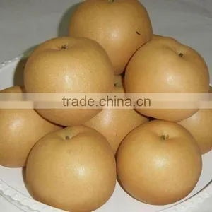 Chinese Fresh Fengshui Pear thumbnail-1