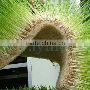 Agriculture Wholesale Domesticated Hydroponics Animal Fodder Tray Greenhouse Plastic Seeding Tray thumbnail-1