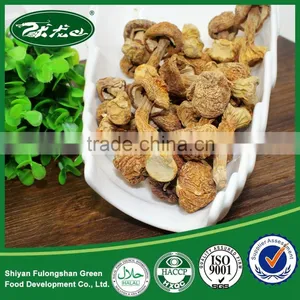 Wholesale Good Quality Dried Matsutake Mushroom thumbnail-4