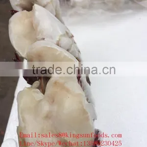 Frozen Blue Swimming Crab for Hot Sale thumbnail-4