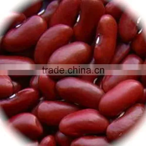 JSX Cooking British Red Kidney Bean Round Shape Food Grade Red Kidney Bean thumbnail-2
