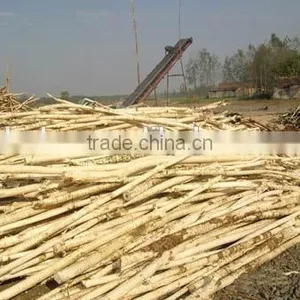 Industrial Wood Debarking Machine/wood Peeling Machine With Low Price thumbnail-6