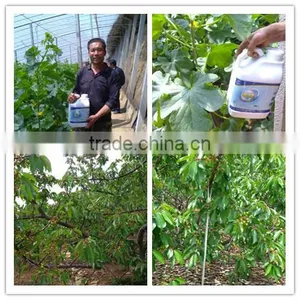Factory Price Microbial Organic Liquid Fertilizer for Roots thumbnail-4