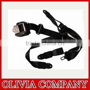 Polyester Webbing for Safety Belt thumbnail-1