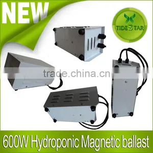 Hydroponics 600W HPS/MH Magnetic Ballast for Plant Growing thumbnail-1