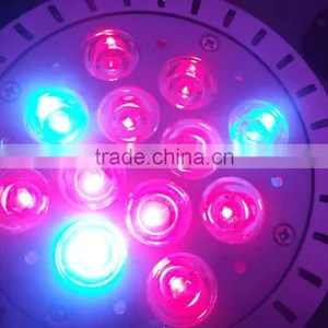 Bule Red Color Grow Light ,12w Par Light ,led Light Bulbs thumbnail-2
