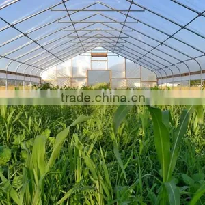 Cheap Easily Inatalled Plastic Film Vegetable Greenhouse thumbnail-3