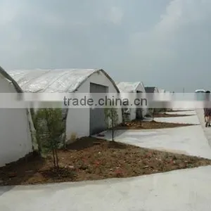 Agriculture Mulch Films ,perforated Mulch Film (with 2 or 4 Holes) thumbnail-6