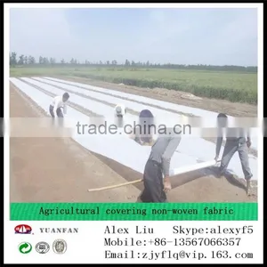 TNT Non Woven Fabric , Agriculture Useing pp Non Woven Fabric thumbnail-4