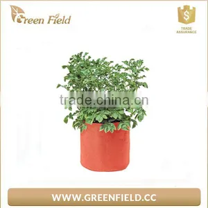 Non Woven Felt Fabric Grow Bags With Handle thumbnail-2