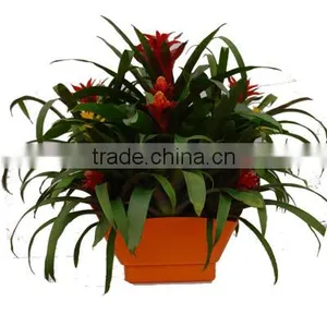 Wholesale Home Decor Table Flower Planter thumbnail-1