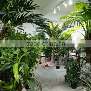 China Factory Supply Artificial Plants thumbnail-4