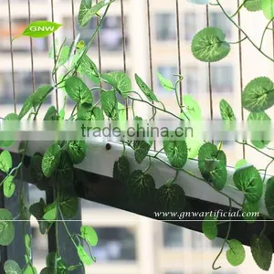 GNW FLV18 the Bueatiful Marigold Flower Extract Face Flower Pots Wholesale thumbnail-1