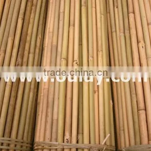 Tonkin Bamboo Canes Wholesales thumbnail-1