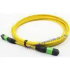 Ribbon Fan Out MPO Multimode Fiber Optic Patch Cord Assembly FTTX thumbnail-1