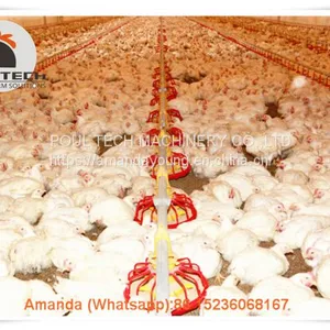 Salvador Poultry Farm Equipment Broiler Floor Raising System & Chicken Deep Litter System With Automatic Drinking& Feeding System in Chicken Shed thumbnail-2