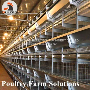 H Type Layer Chicken Chicken Cage With Full Automatic Equipment thumbnail-5