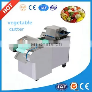 Small Manufacturing Machines Potato Cut Slice Strip Shred Chip Cube Vegetable Cutting Machine thumbnail-3