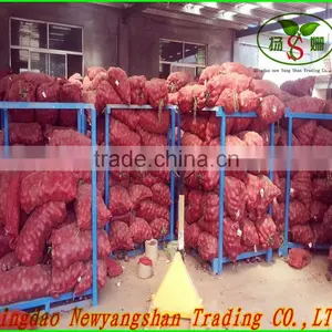 (CHINA) Red Dried Fresh Onion /Fresh Onion thumbnail-4