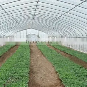 Agriculture Commercial Plastic Film Covered Greenhouses thumbnail-6