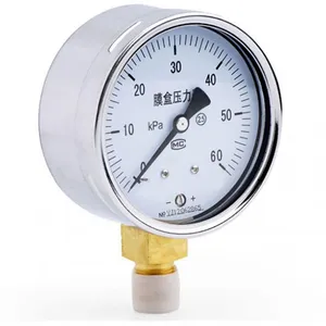 Pressure Gauges 304 thumbnail-2