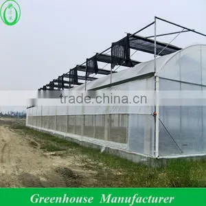 Film Greenhouse, Anti-uv,anti-drip and High Light Transmittance thumbnail-1