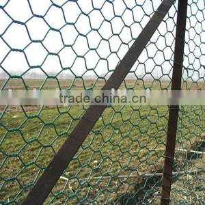 PVC Coated Hexagonal Mesh thumbnail-1