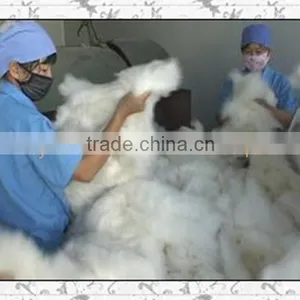 100% Wool White Dehaired Cashmere thumbnail-6