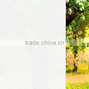 Building Glass Film Light Diffusing Window Film thumbnail-1