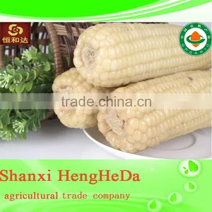 in Russian Canned Sweet Corn Wholesale thumbnail-6