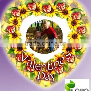 DIY Photo Balloon/Magic Photo Balloon thumbnail-1