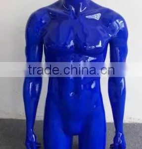 Male Torso thumbnail-1