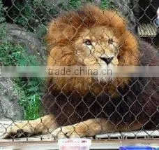 Stainless Steel Rope Mesh/animal Enclosure thumbnail-1
