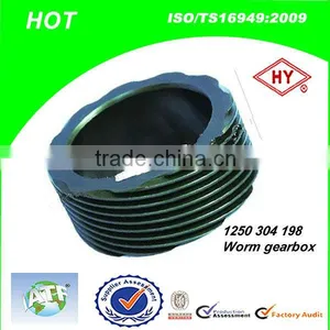 Bus And Truck Parts Gearbox Worm Manufacturer in China(1250 304 198) thumbnail-1