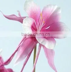 Caique-PU Artificial Flower thumbnail-1