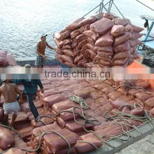 Loose Cocopeat_QQ:2598494113 thumbnail-2